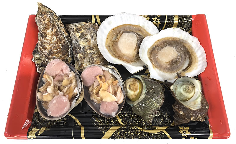刺身 中トロ入り8点