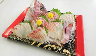 刺身 中トロ入り8点