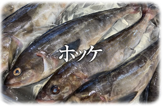埼玉で魚がうまい 本庄鮮魚